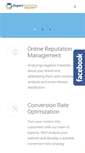 Mobile Screenshot of expertmarketingconsultants.com